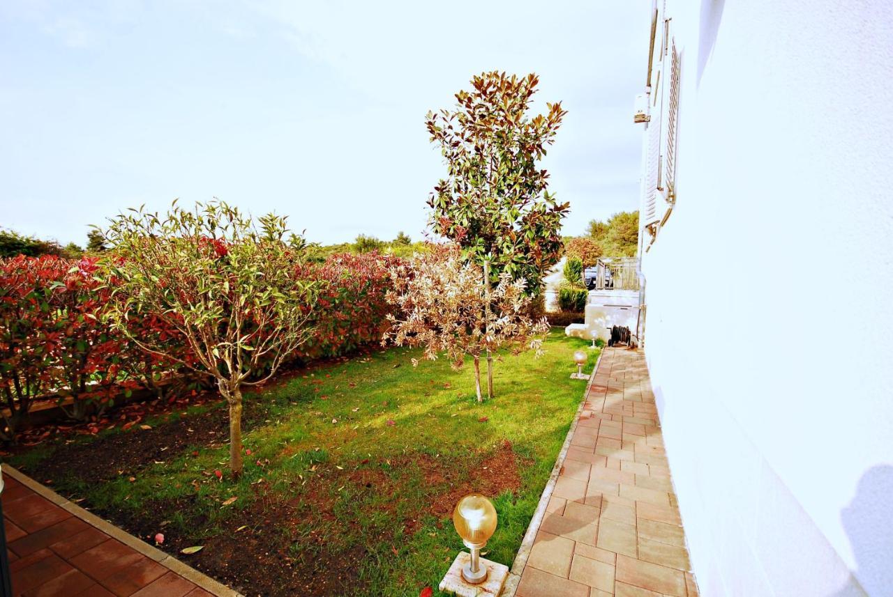 Drago Holiday home